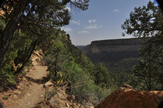 The Petroglyph Trail 